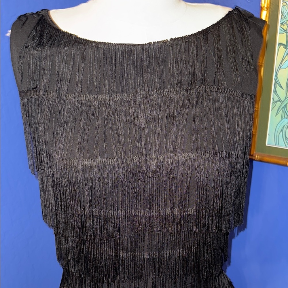 Trashy Diva  fringe dress